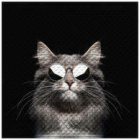 BADEMATTE Cool Cat - Schwarz, Kunststoff (53/53cm) - Sanilo