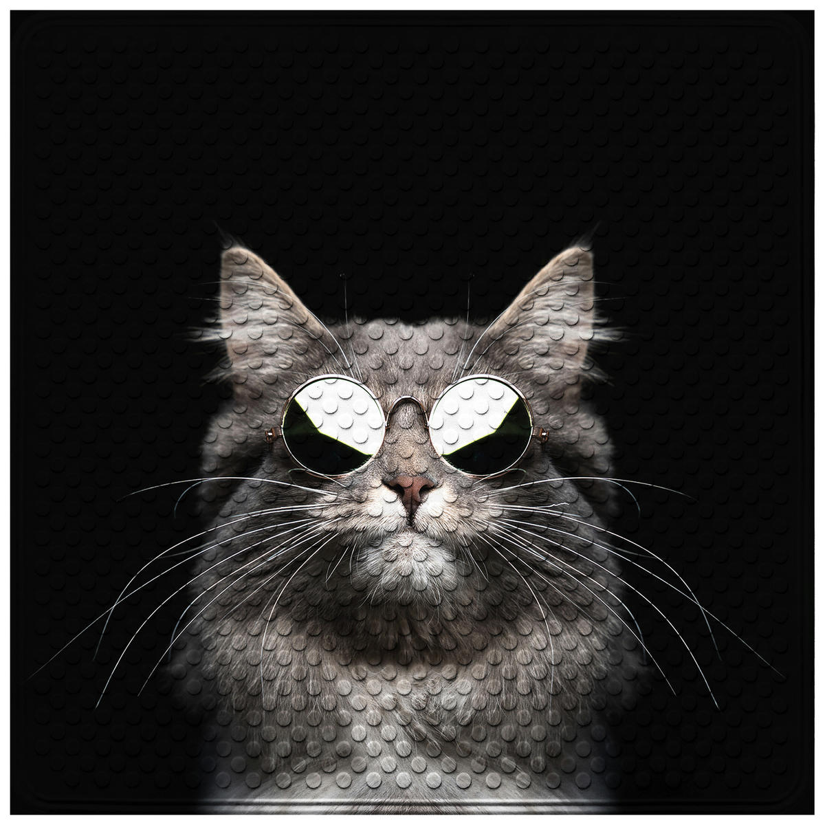 BADEMATTE Cool Cat - Schwarz, Kunststoff (53/53cm) - Sanilo