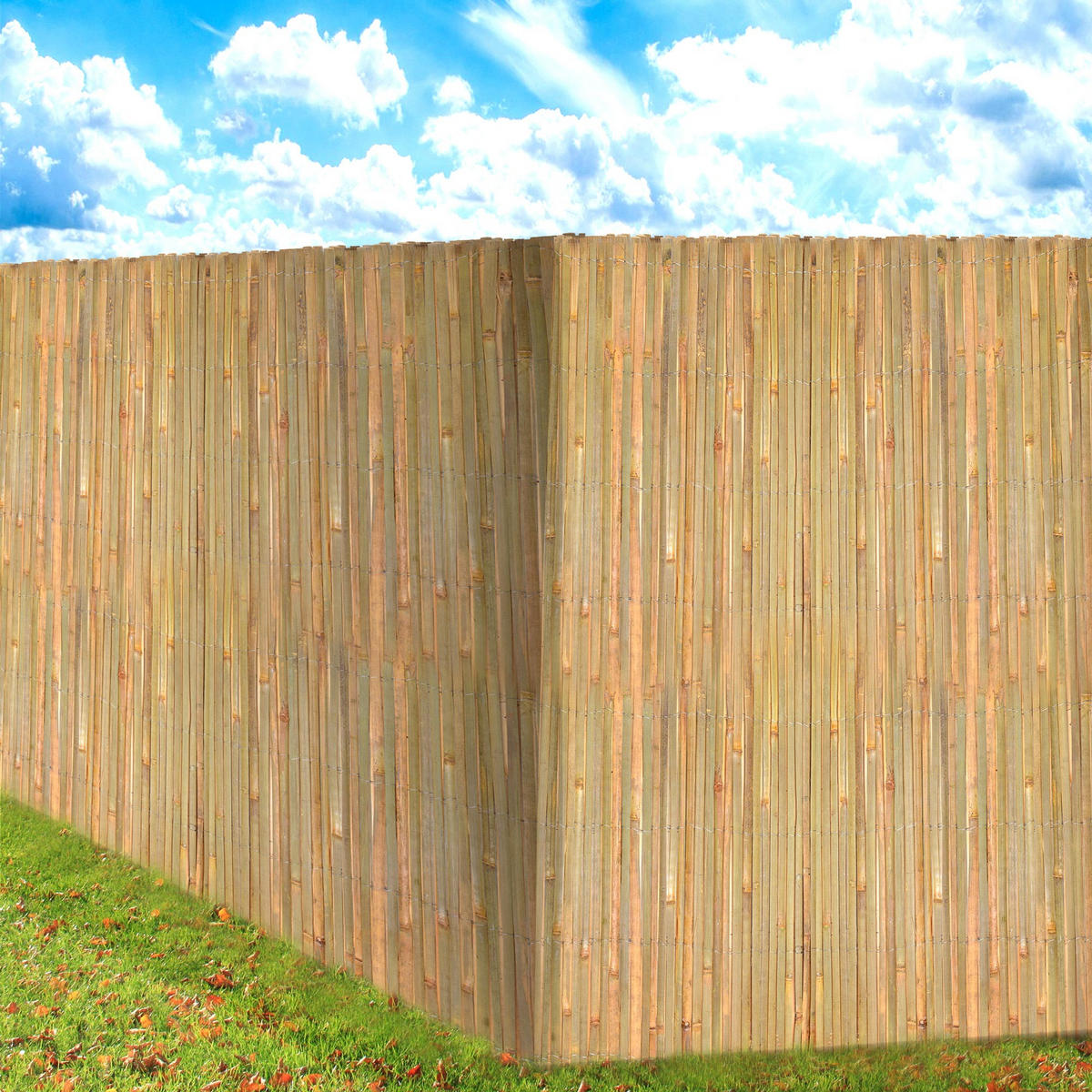 SICHTSCHUTZZAUN SolVision B89 120/600 cm Bambus - Naturfarben, Kunststoff (600/120cm) - Sol Royal