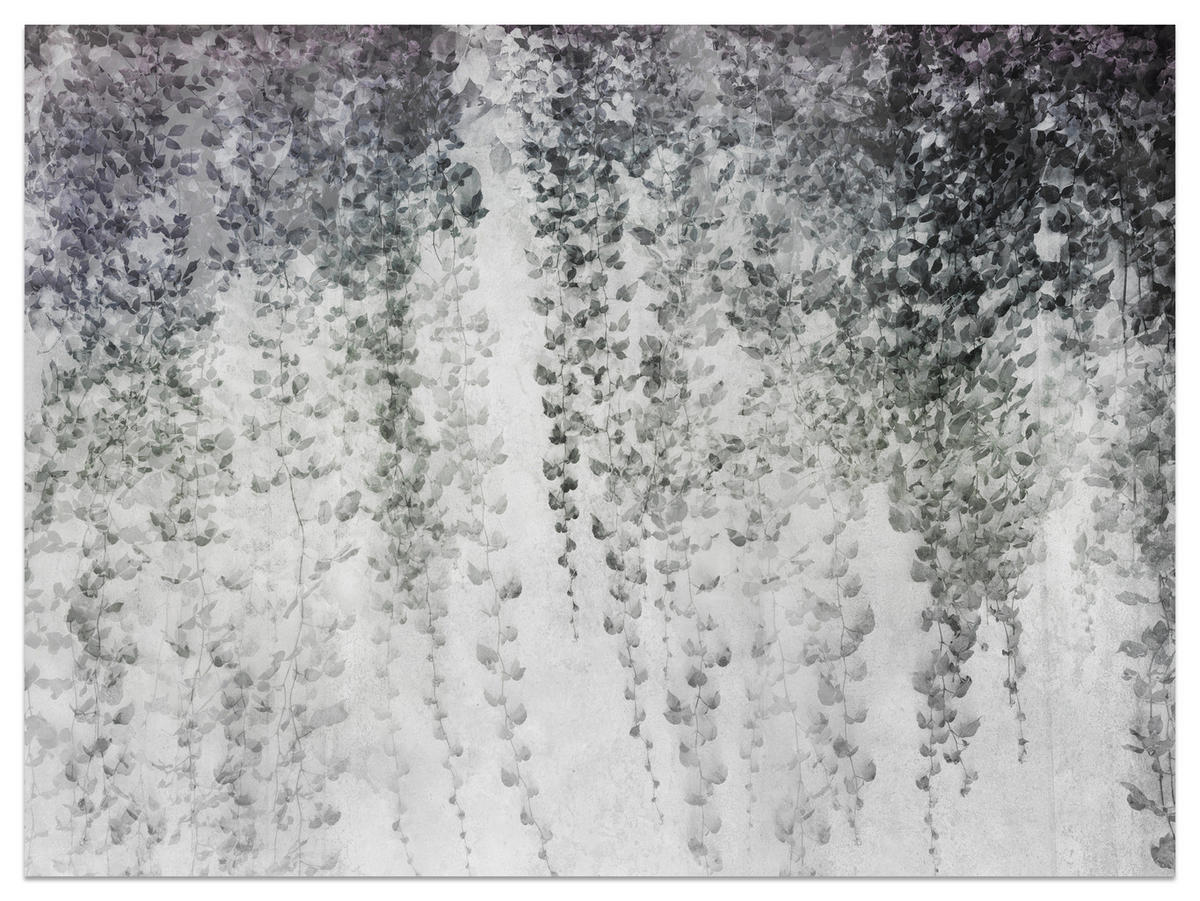 FOTOTAPETE Blätter Pflanzen Natur Vintage 150x105 - Grau, Papier (150/105cm) - Muralo