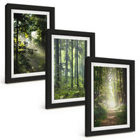 BILDER SET 3er Set - 20x30 cm Schwarzer Rahmen - Grüne Wälder mit Lichtstrahlen - Schwarz, Kunststoff (20/30cm) - TULUP