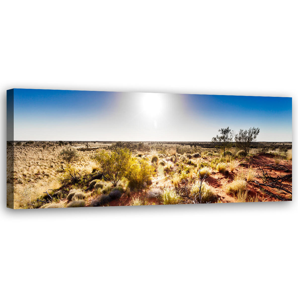 WANDBILD wüstenvegetation - Braun, Textil (90/30cm) - Feeby