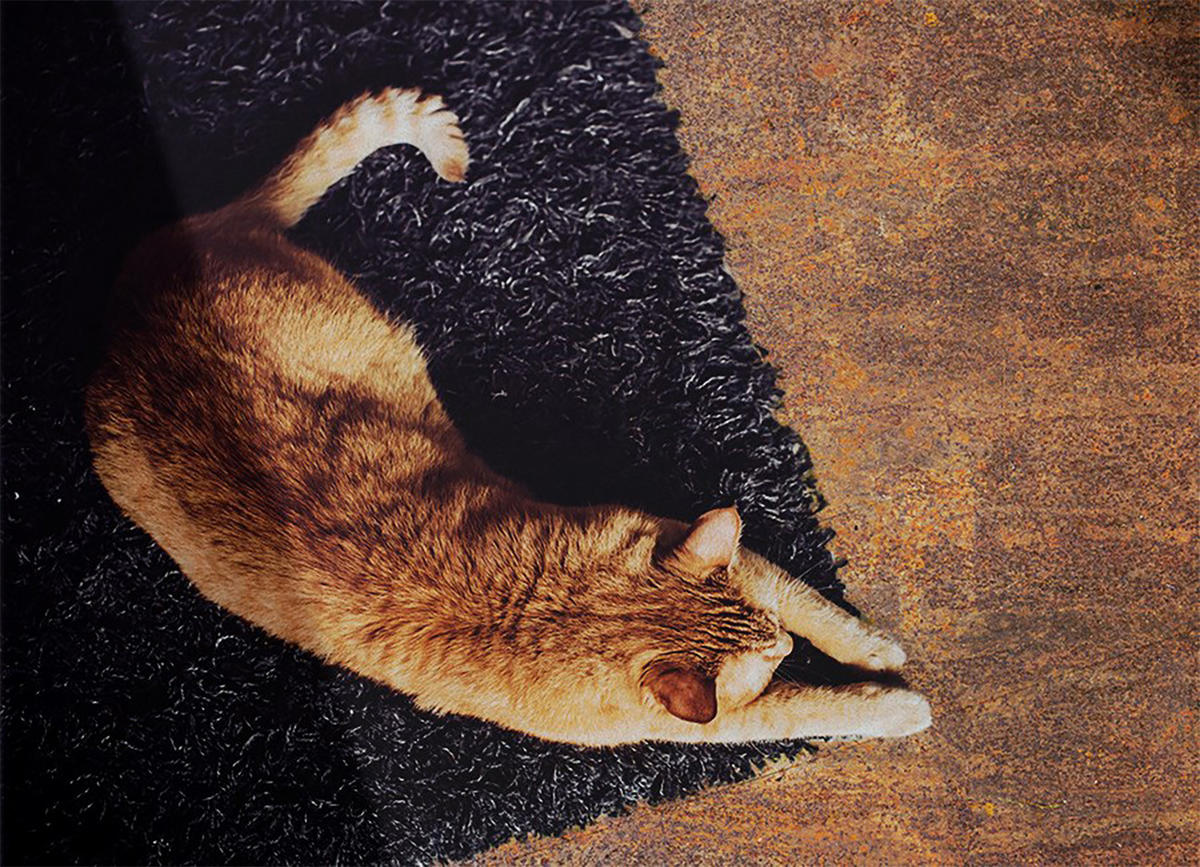 VINYL TEPPICH 80x120 cm Verrostetes Blech - Rostfarben, Kunststoff (80/120cm) - TULUP