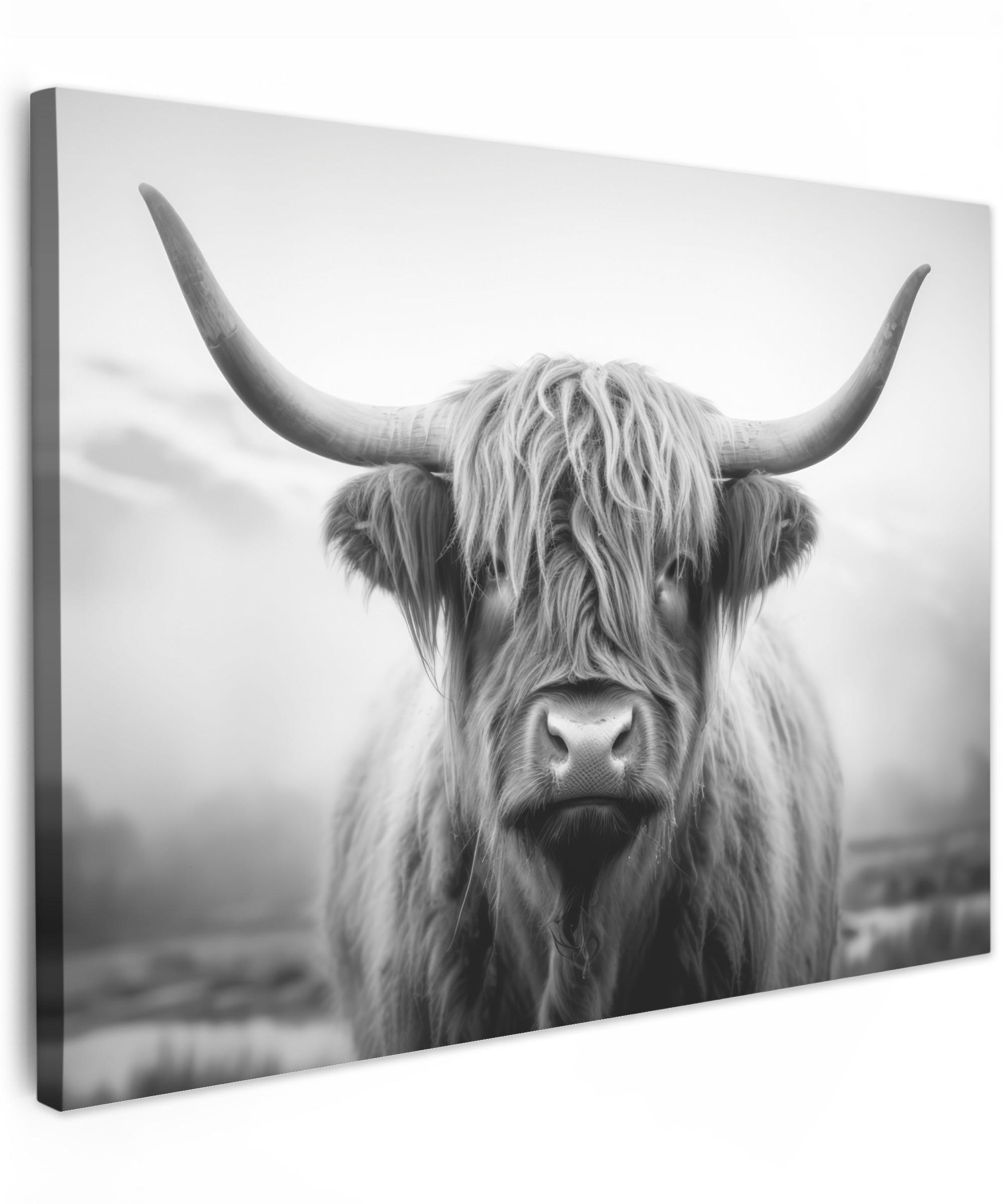 LEINWANDBILD Schottischer Highlander - Nebel - Schwarz - Weiß Wandbild 40x30 cm - Grau, Textil (40/30cm) - MuchoWow
