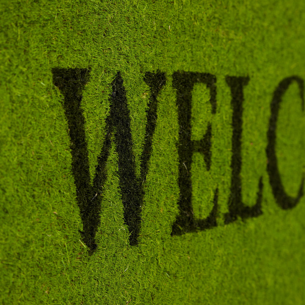 FUSSMATTE - Grün, Kunststoff/Textil (75/25cm) - Relaxdays