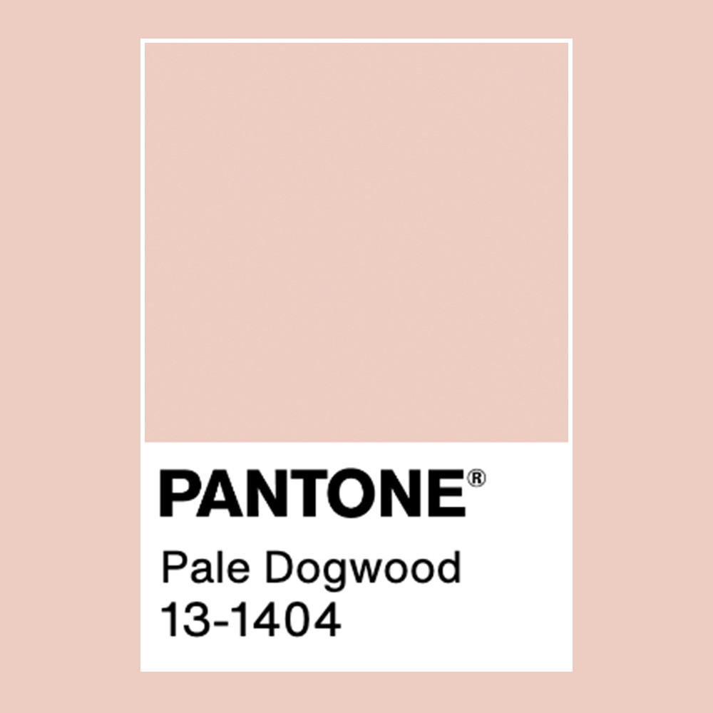 Barva Pale Dogwood