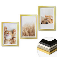 WANDBILDER 3er Set - 20x30 cm Goldrahmen - Niedliche Tiere, Katzen, Hunde, Boho-Stil - Goldfarben, Kunststoff (20/30cm) - ArtPrintCave