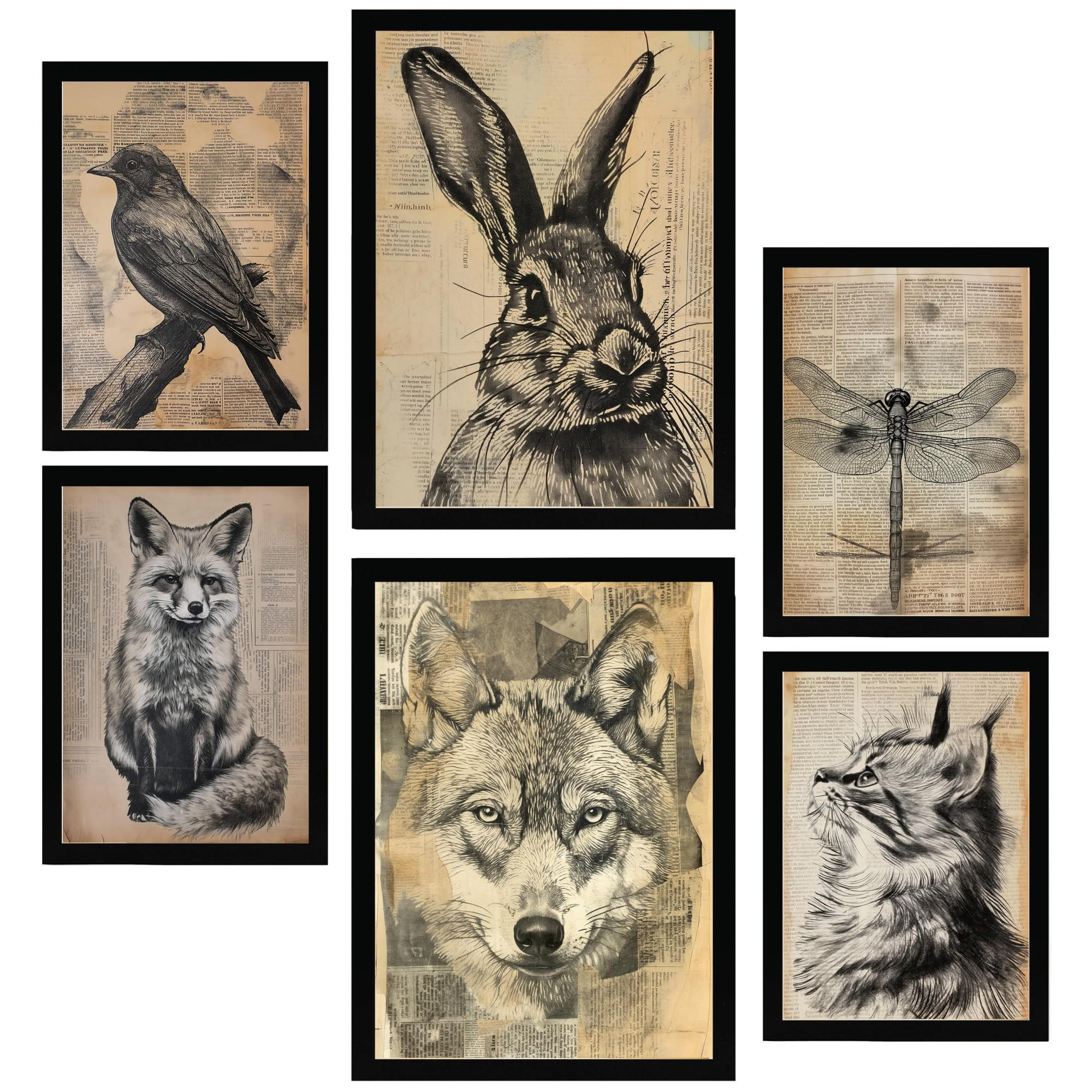 POSTER Set Mit 6 Vintage Tiere Vogel Hase Libelle Fuchs Wolf Katze A3 & A4 Schwarzer Rahmen - Schwarz, Papier (29/3cm) - Nacnic