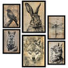 POSTER Set Mit 6 Vintage Tiere Vogel Hase Libelle Fuchs Wolf Katze A3 & A4 Schwarzer Rahmen - Schwarz, Papier (29/3cm) - Nacnic