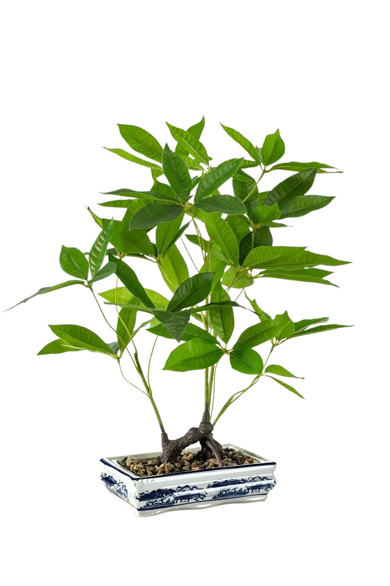 KUNSTBAUM Künstlicher Bonsai - Sally 62 cm - Grün, Kunststoff (62cm) - Emerald