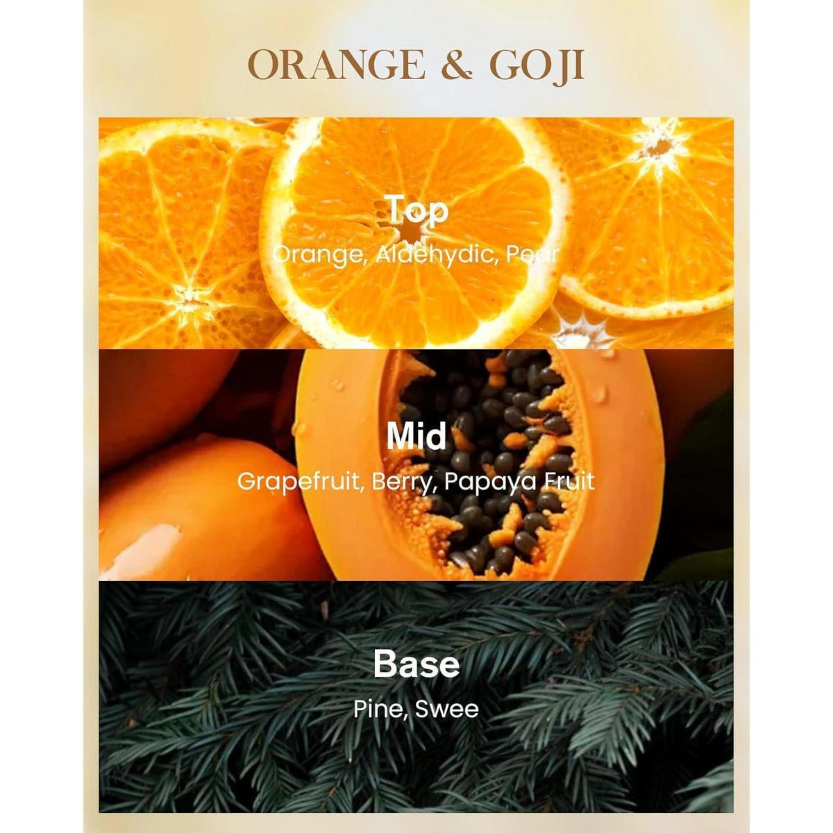 DUFTKERZE im Glas Orange & Beere 990g 150 Stunden Brenndauer - Multicolor, Paraffin (15.8cm)