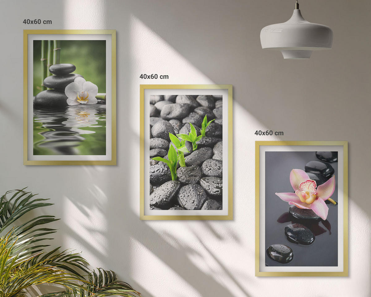 WANDBILDER 3er Set - 40x60 cm Goldrahmen - Eine ruhige Zen-Komposition aus Blumen und Wasser - Goldfarben, Kunststoff (40/60cm) - ArtPrintCave