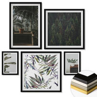 WANDBILDER 5er-Set - 50x50 cm & 20x30 cm & 40x60 cm Schwarzer Rahmen - Rustikale Topfpflanzen - Schwarz, Kunststoff (40/60cm) - ArtPrintCave