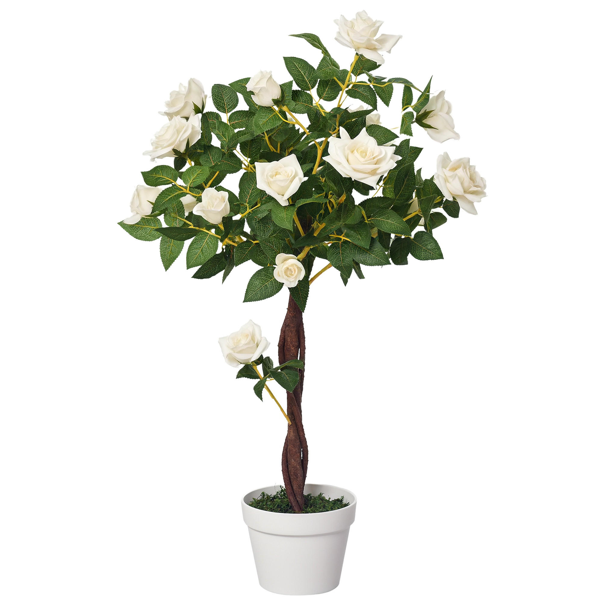KÜNSTLICHE Pflanzen Weiß 18.0/18.0/90.0cm - Weiß, Kunststoff (90cm)