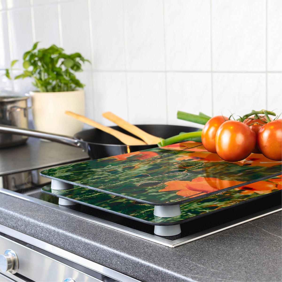 GLASSCHUTZPLATTEN für den Herd Pole Maku 0,5/30/52 cm - Multicolor, Glas (30/52/0.5cm) - Wenko