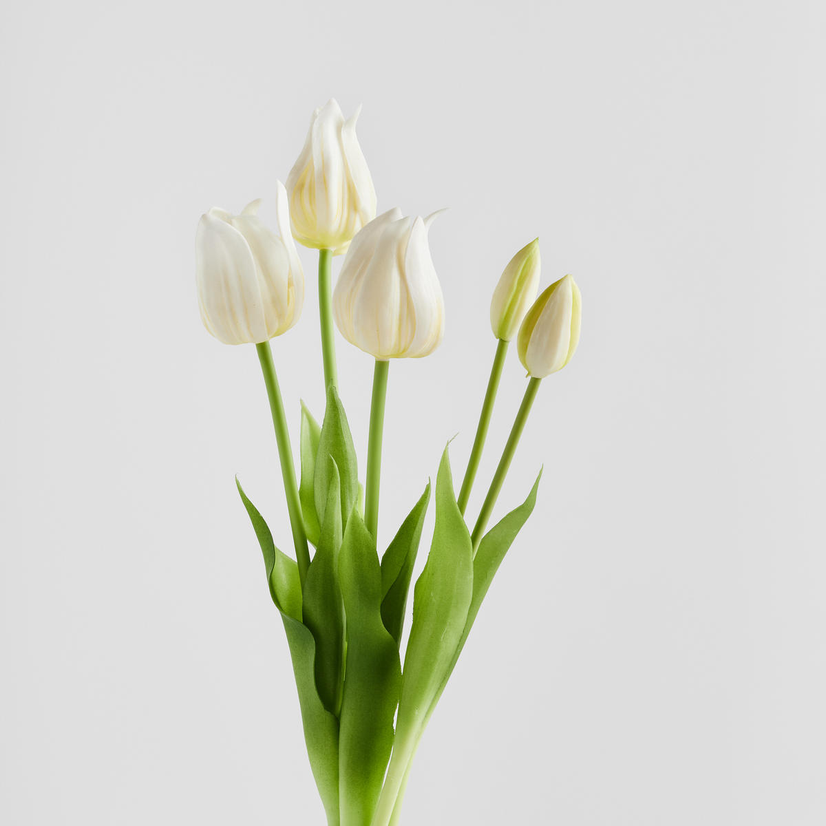 BLUMENSTRAUSS Tulipaniso - Weiß, Kunststoff (10cm) - home&you
