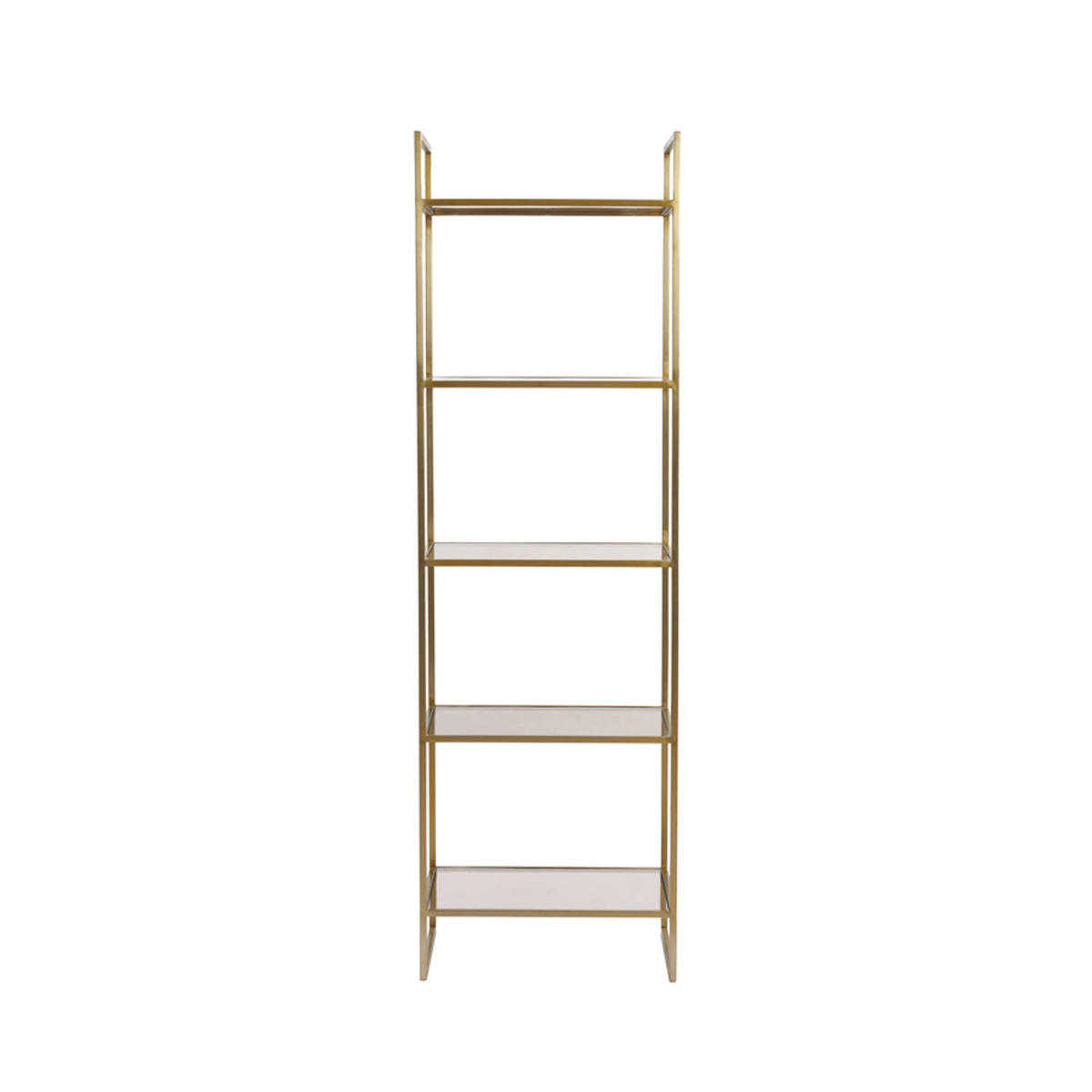 STANDREGAL MARIKI 55x40x180 cm, braunes Glas, Hellgold - Goldfarben, Glas/Metall (40/180/55cm) - Light & Living