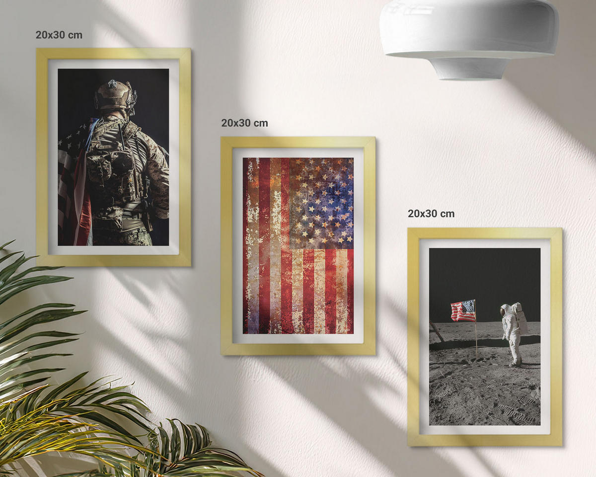 BILDER SET 3er Set - 20x30 cm Goldrahmen - Amerikanische Symbole, USA-Flagge - Goldfarben, Kunststoff (20/30cm) - TULUP