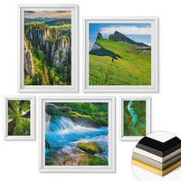 WANDBILDER 5er-Set - 50x50 cm & 20x30 cm & 40x60 cm Weißer Rahmen - Wasserfälle grüner Wald Wasser - Weiß, Kunststoff (40/60cm) - ArtPrintCave