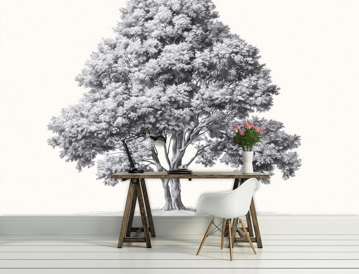 FOTOTAPETE Baum Abstrakt Grau 150x105 cm - Multicolor, Papier (150/105cm) - Wallarena