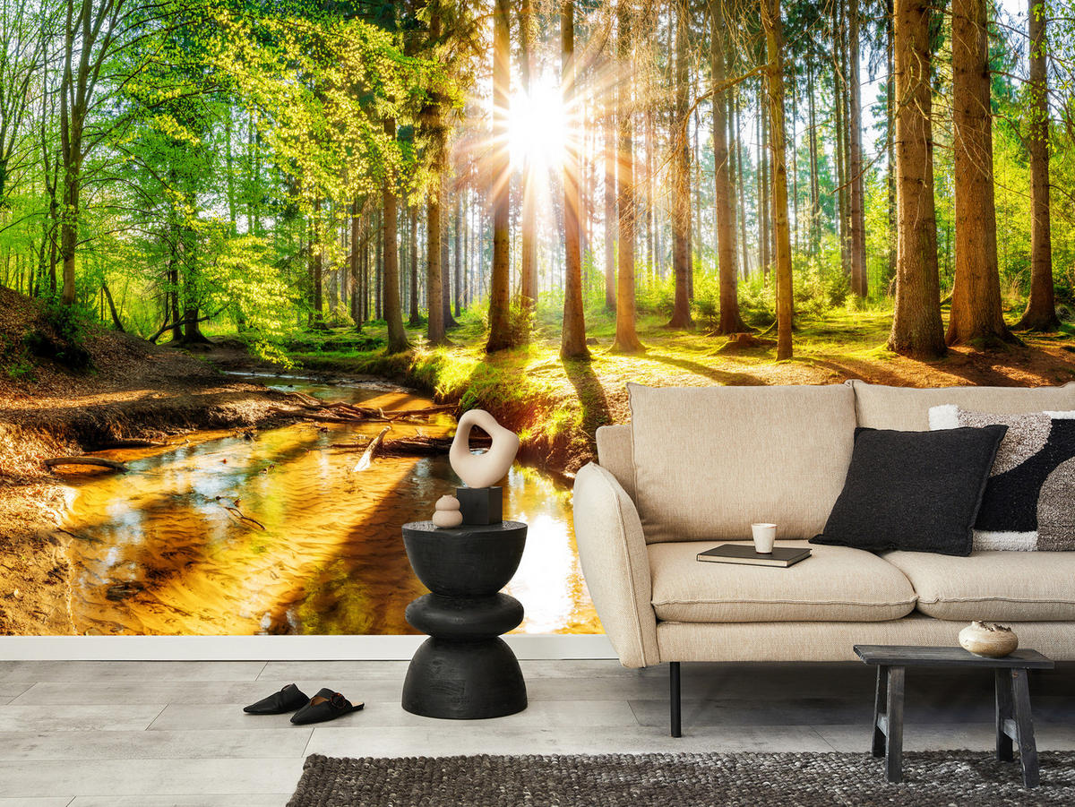 FOTOTAPETE für Wohnzimmer Pflanzen Natur Gras Sonniger Wald Bäume 400x280 - Multicolor, Papier (400/280cm) - Muralo