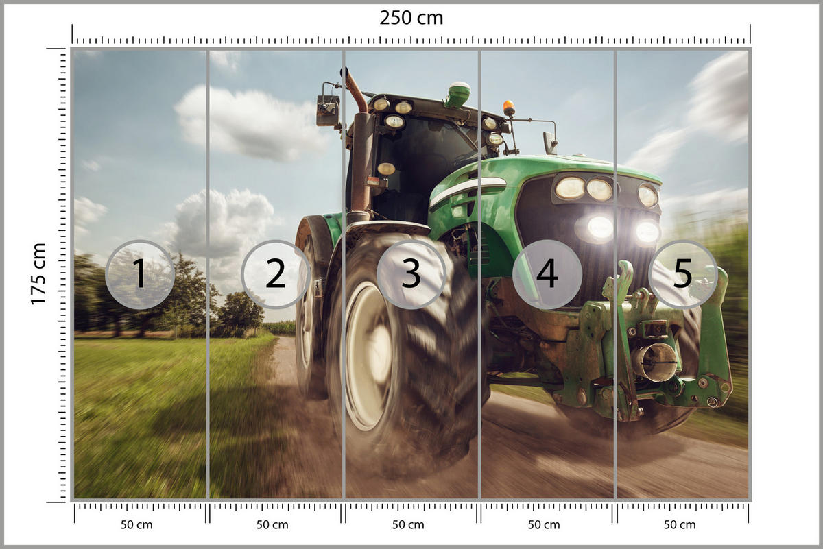 FOTOTAPETA Jazdiaci Traktor Stromy Vegetácia Poľnohospodárstvo 250 x 175 cm - čierna/biela, papier (250/175cm) - Muralo