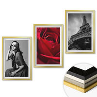 WANDBILDER 3er Set - 40x60 cm Goldrahmen - Pariserin mit Eiffelturmbrille - Goldfarben, Kunststoff (40/60cm) - ArtPrintCave