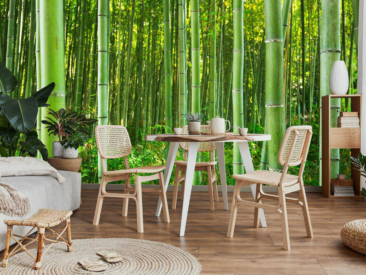 FOTOTAPETA Bambusový Les Rastliny Príroda 3D 150 x 105 cm - žltá/zelená, papier (150/105cm) - Muralo