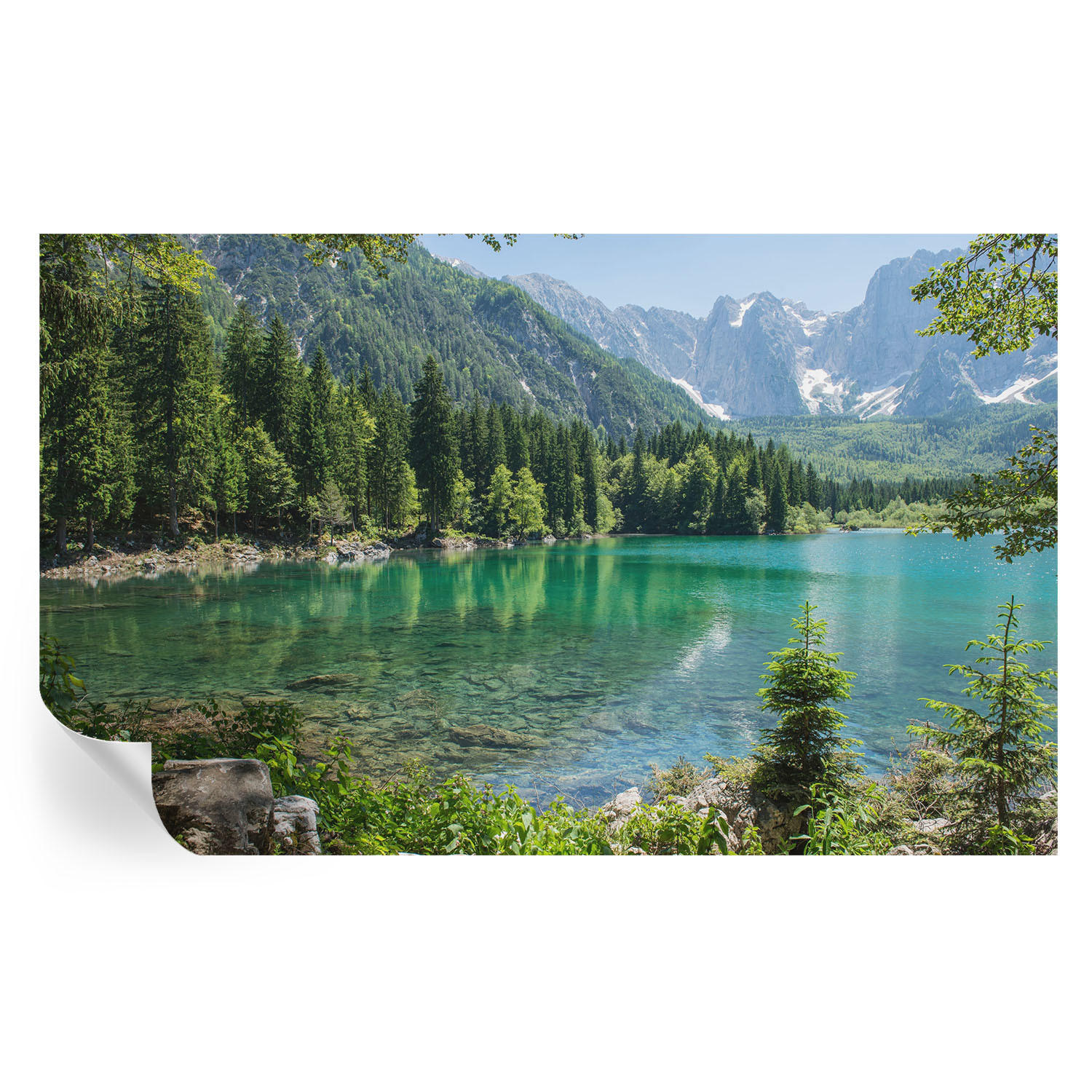 FOTOTAPETE 416x254 cm - Grüner See - Grün, Textil (416/254cm) - Wallfluent