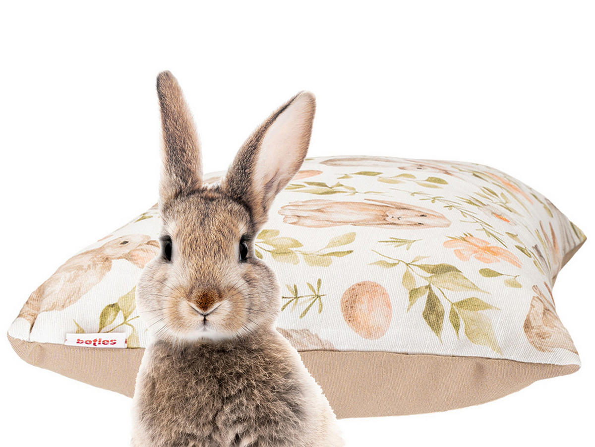 KISSSENHÜLLE Hoppel 50/50 cm - Taupe/Beige, Textil (50/50cm)