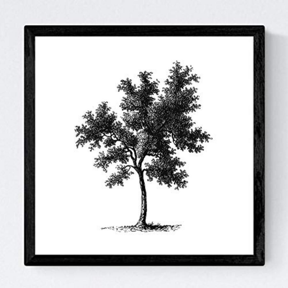 POSTER Set mit 4 Blättern der weißer Hintergrund 30x30 cm Rahmenlos - Klar, Papier (30/3cm) - Nacnic