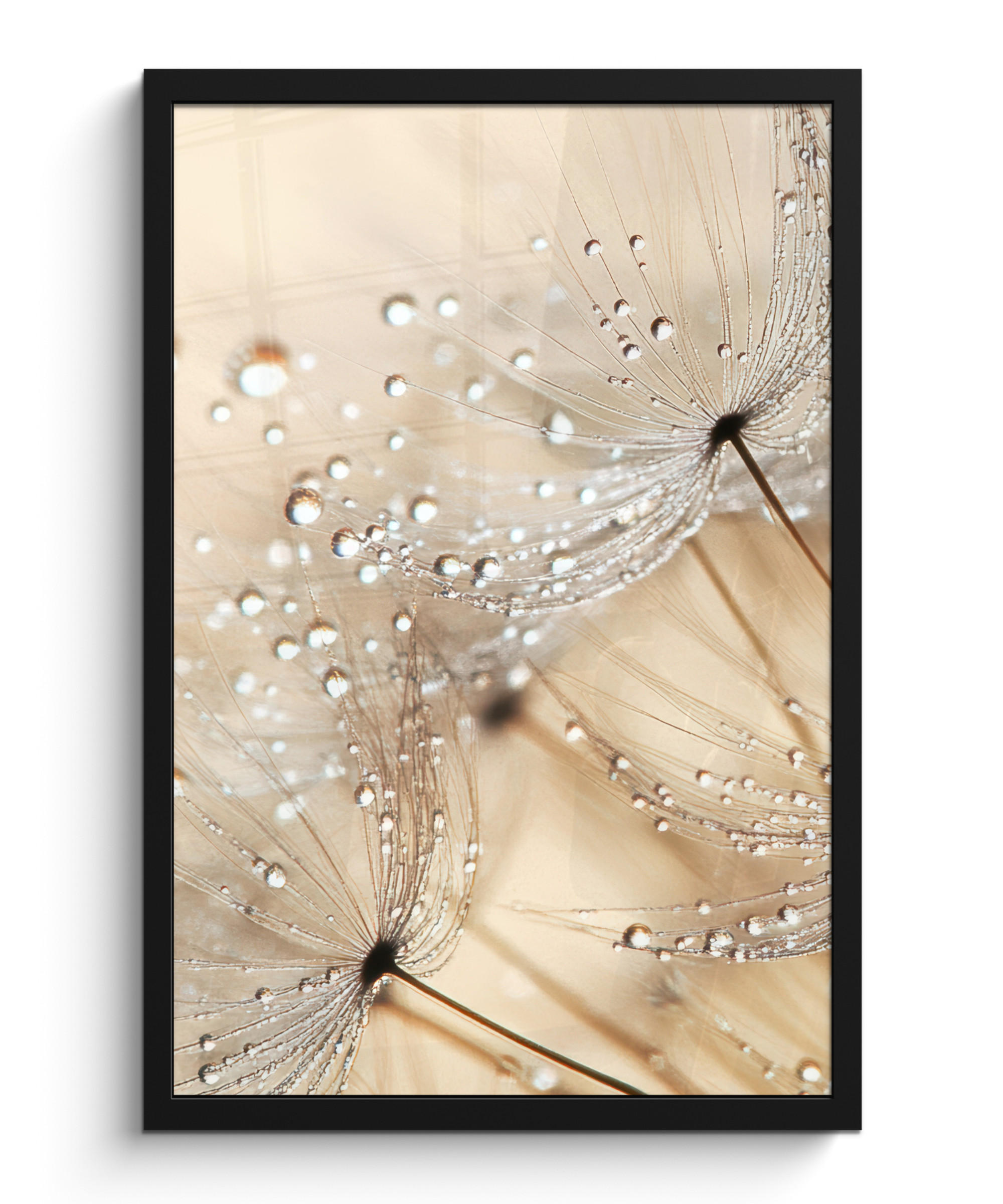 GERAHMTES BILD Löwenzahn - Abstrakt - Natur - Beige 40x60 cm - Braun, Papier (40/60cm) - MuchoWow