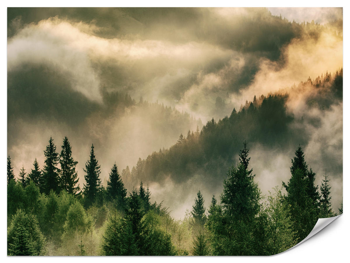 FOTOTAPETE für Wohnzimmer Neblige Landschaft Bergwald Nadelbäume 400x280 - Gelb/Orange, Papier (400/280cm) - Muralo