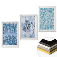 WANDBILDER 3er-Set - 40x60 cm Weißer Rahmen - Winterwald blaue Blume Wasser - Weiß, Kunststoff (40/60cm) - ArtPrintCave