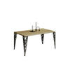 COUCHTISCH Monza - Eichefarben, Holzwerkstoff (100/60/51cm) - Endo-Moebel
