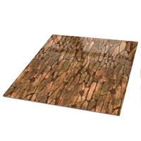 TISCHPLATTE 50x50 cm – Rustikale Rinde - Braun, Glas (50/50/0.4cm) - Wallfluent