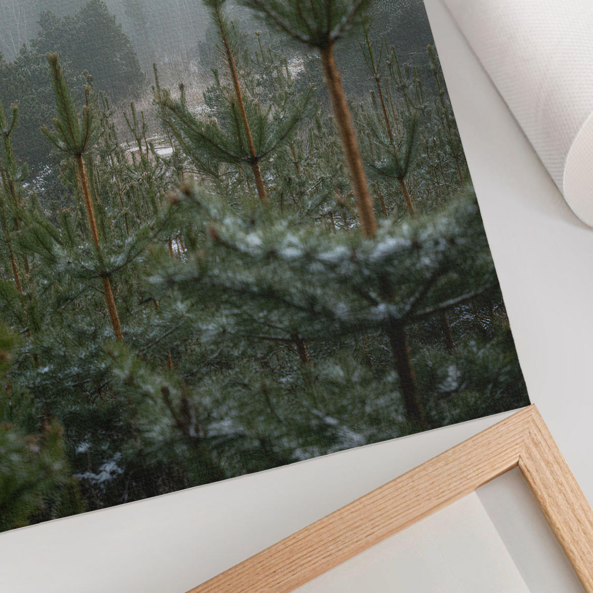 POSTER - 29x42 cm - digitalPhoto - Grüne Nadelbäume - Grün, Textil (29/42/0.1cm) - TULUP