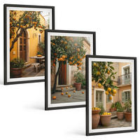 BILDER SET 3er Set - 40x60 cm Schwarzer Rahmen - Garten-Zitrus-Sonne - Schwarz, Kunststoff (40/60cm) - TULUP