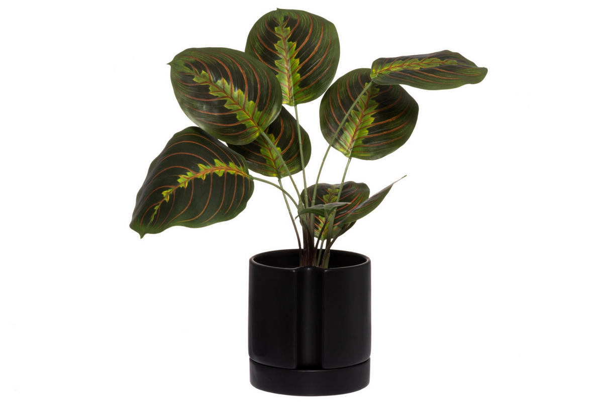 BLUMENTOPF mit Bewässerungssystem Ø 15 cm - Schwarz, Keramik (15/15.5cm)
