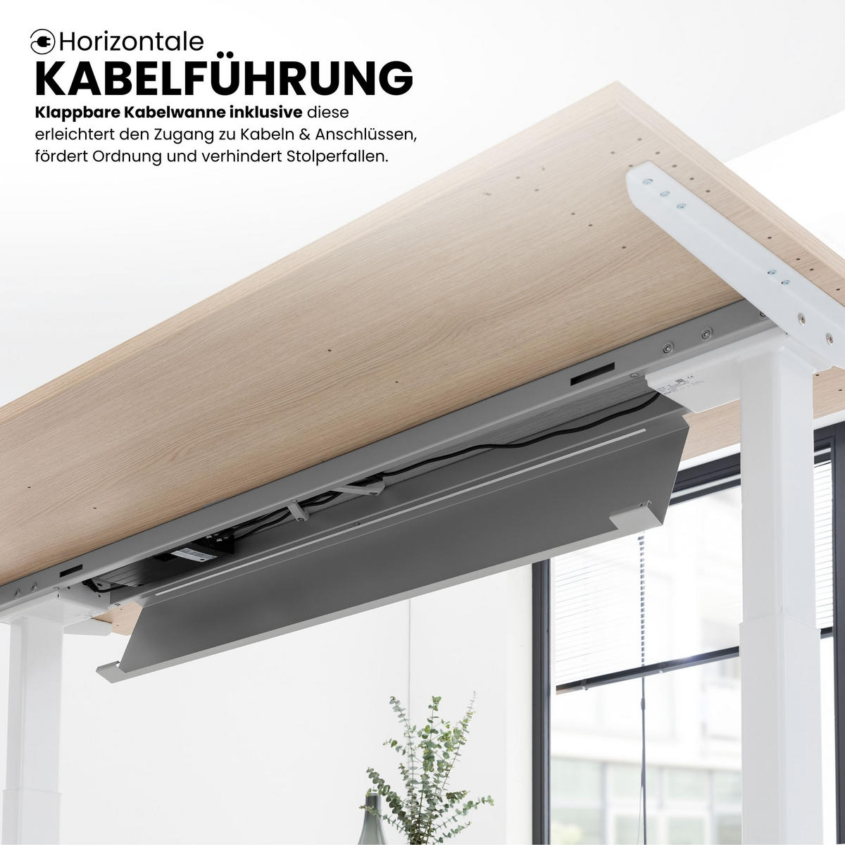 SCHREIBTISCH elektrisch XBHM 80/180/74 cm in Nussbaumfarben/Weiß - Nussbaumfarben/Weiß, Holzwerkstoff (80/180/74cm) - bümö