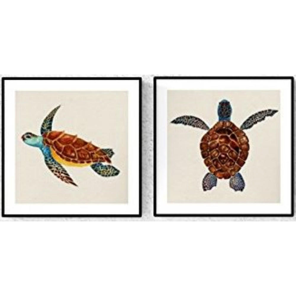 POSTER Set Mit 2 Schildkröten Tiere 20X20cm Rahmenlos - Klar, Papier (20/5/20cm) - Nacnic