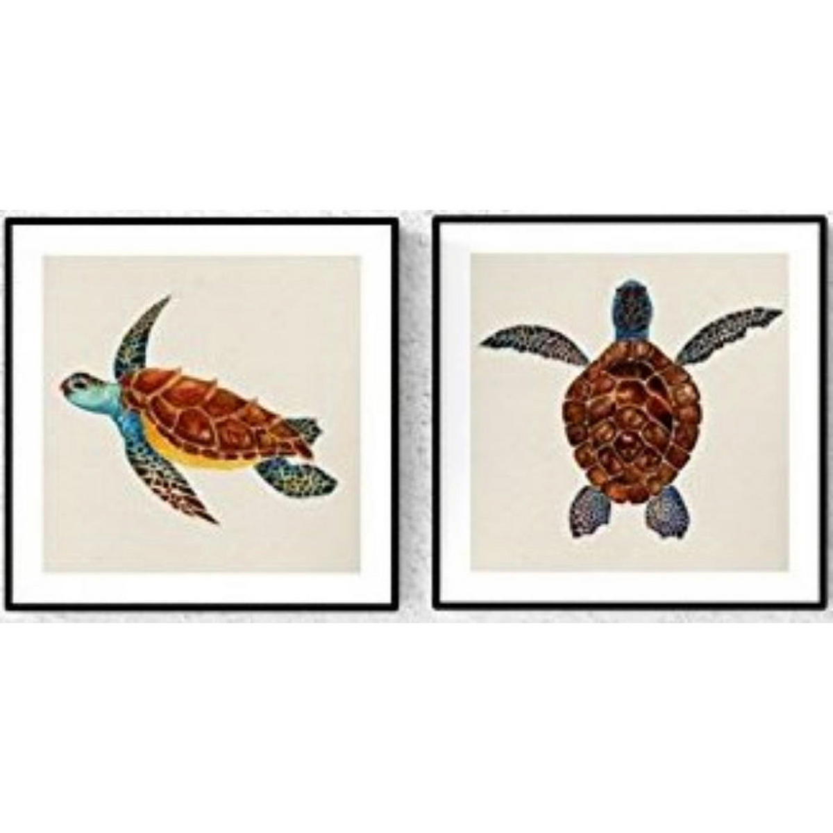 POSTER Set Mit 2 Schildkröten Tiere 20X20cm Rahmenlos - Klar, Papier (20/5/20cm) - Nacnic