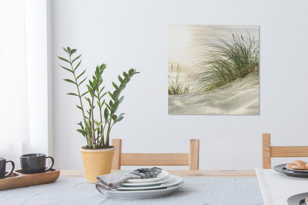 LEINWANDBILD Dünen mit Strandhafer in der Sonne des Nationalparks Schleswig-Holsteinisches Wattenmeer 50x50 cm - Creme, Textil (50/50cm) - MuchoWow