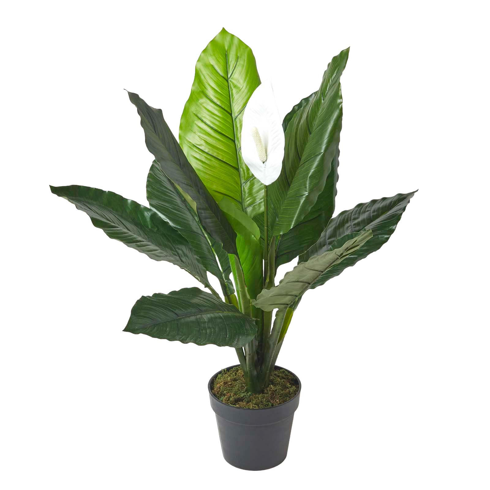 KUNSTPFLANZE Friedenslilie weiß, 90 cm - Weiß, Kunststoff (90cm) - Homescapes