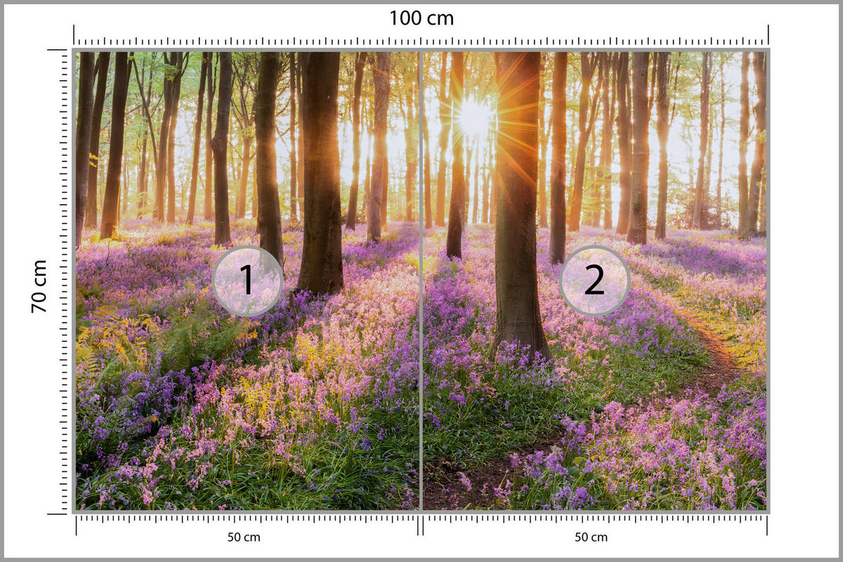 FOTOTAPETA Les Kvety Východ Slnka Krajina 3D 100 x 70 cm - oranžová/hnedá, papier (100/70cm) - Muralo