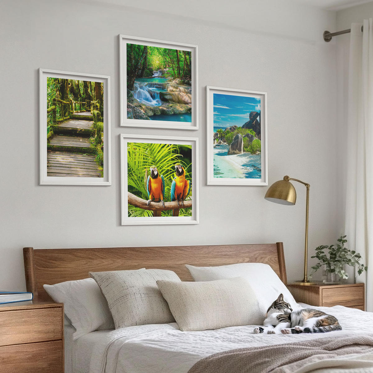 WANDBILDER 4er-Set - 50x50 cm & 40x60 cm Weißer Rahmen - Tropischer Wald Papageienwasserfall - Weiß, Kunststoff (50/50cm) - ArtPrintCave