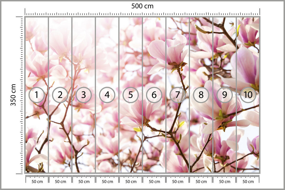 FOTOTAPETA Pre Spálňu Ružové Kvety Magnólie Florálna Jemná 500 x 350 cm - hnedá/ružová, papier (500/350cm) - Muralo