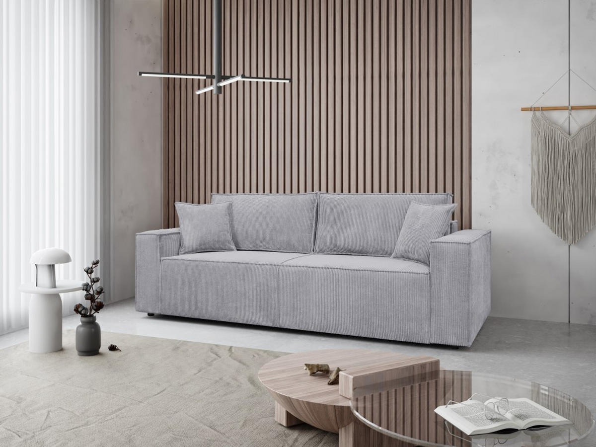 SOFA Passio III 250 x 105 cm, mit Schlaffunktion und Bettkasten, grau - Grau, Kunststoff (250/98/105cm) - Margaret Hadas24