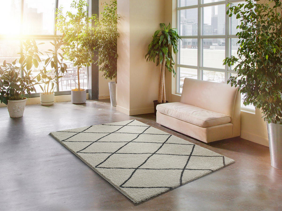 HOCHFLORTEPPICH Weiß Atlas 160/230 cm - Weiß, Naturmaterialien/Textil (160/230cm) - Atticgo
