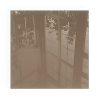 GLASPLATTE für Kamin 60x60 cm - Braun, Glas (60/60/0.4cm) - TULUP